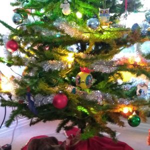 Meet your Posher, Deborah